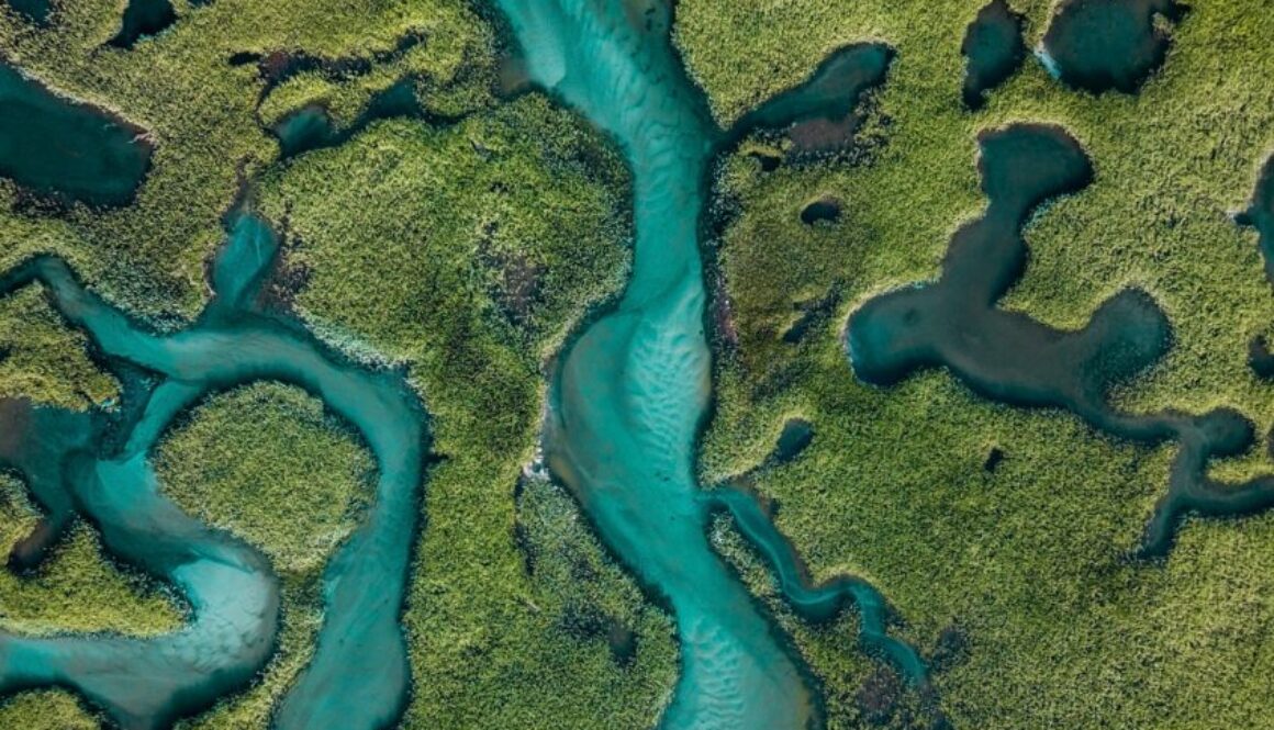 michael-baccin-mnEA-GPB0Pc-unsplash