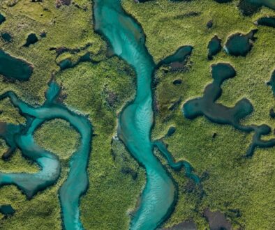 michael-baccin-mnEA-GPB0Pc-unsplash