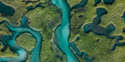michael-baccin-mnEA-GPB0Pc-unsplash